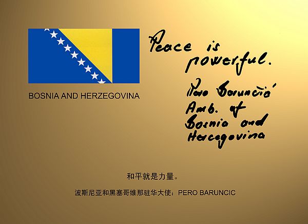 Bosnia and Herzegovina.jpg